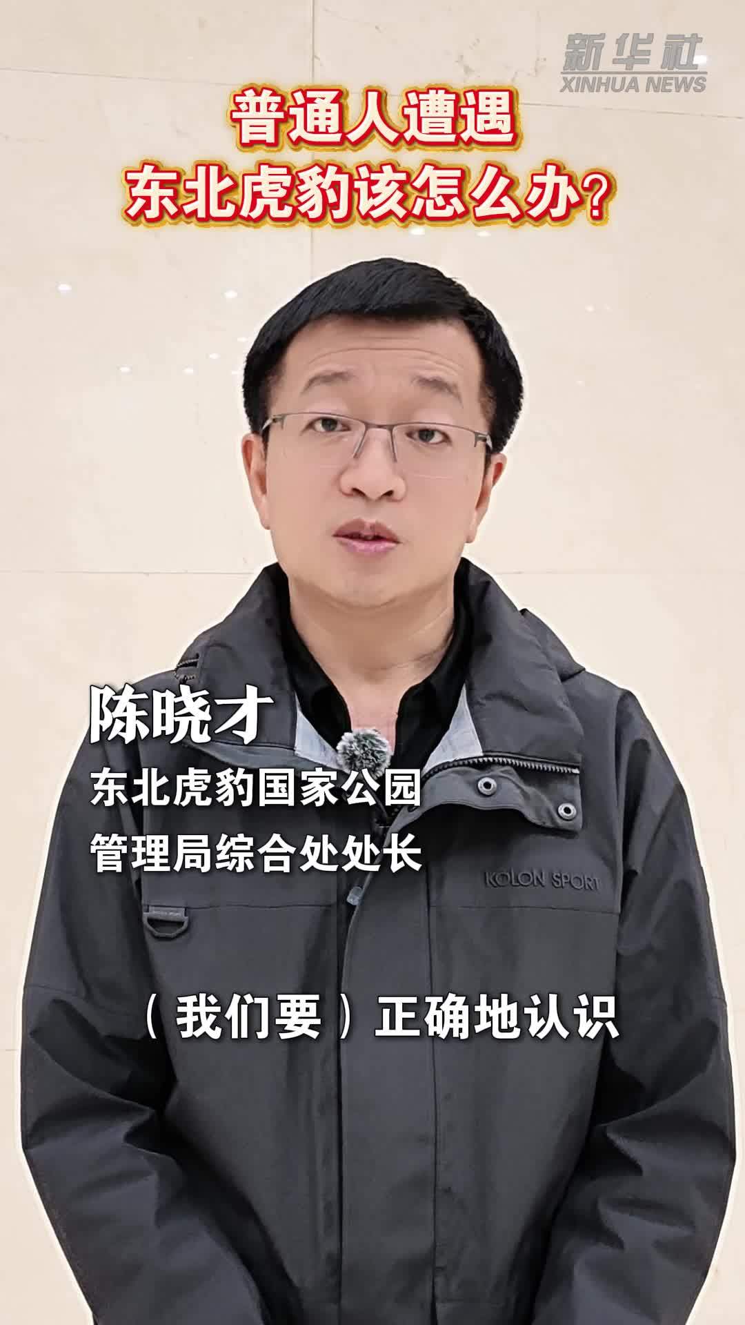 美丽中国行｜普通人遭遇东北虎豹该怎么办？