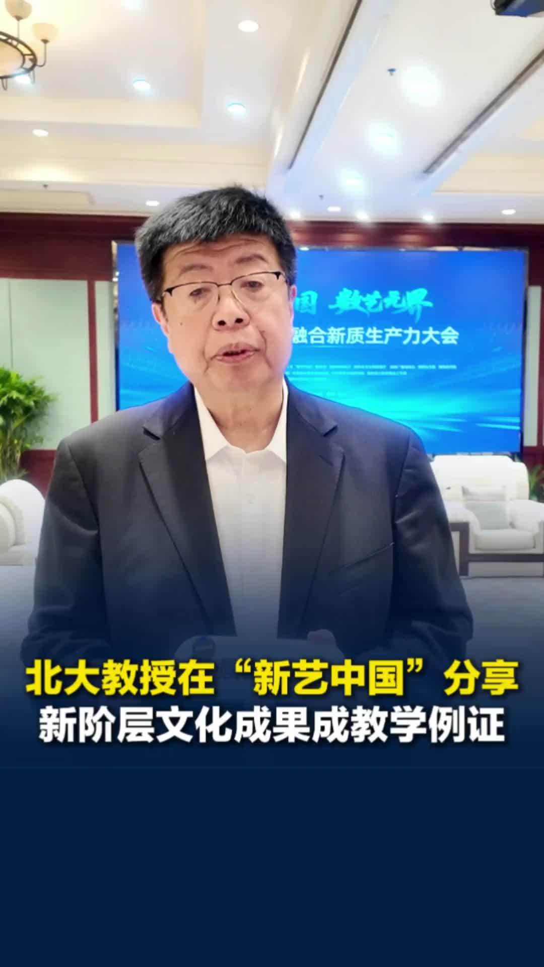 北大教授在“新艺中国”分享，新阶层文化成果已成高校理论研究素材