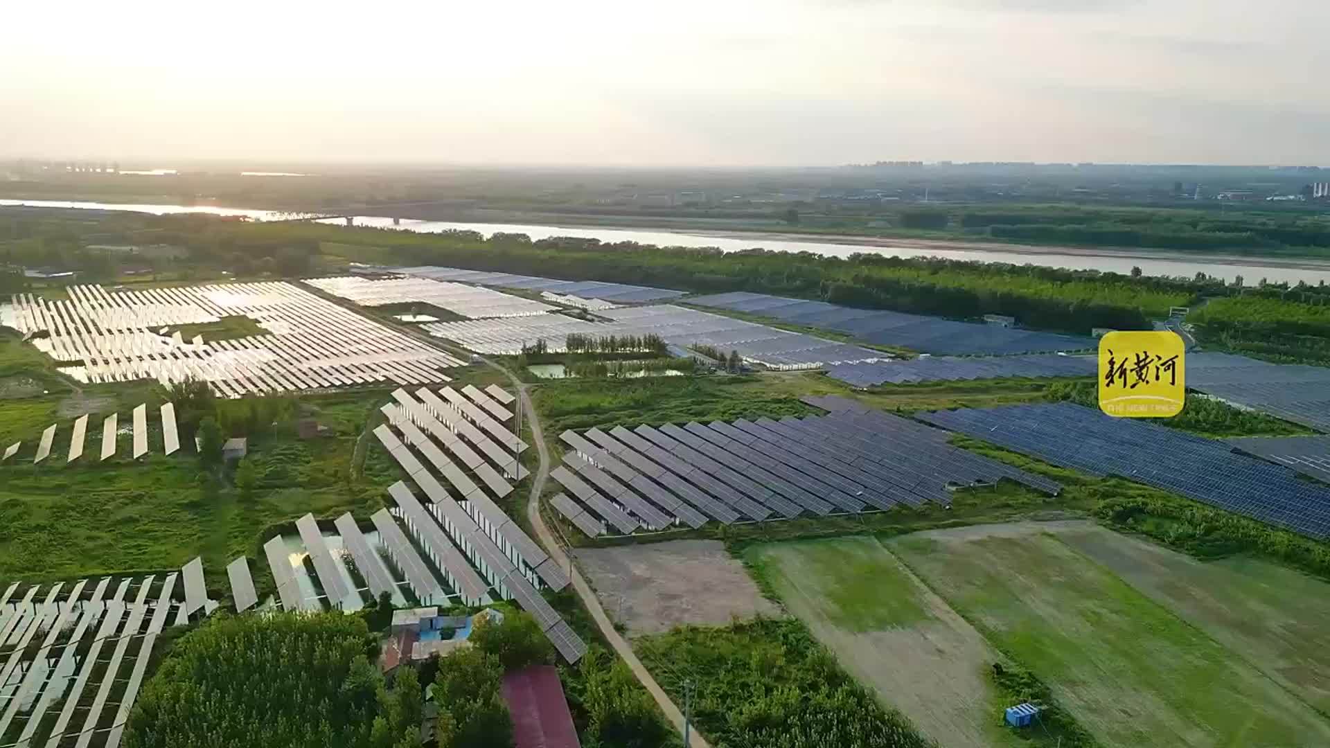 喝黄河水长大，青壳白肚金爪黄毛的济南本土大闸蟹来了