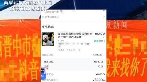 8千元狗仅退款商家驱车600公里寻狗【8000元宠物狗遭仅退款商家发