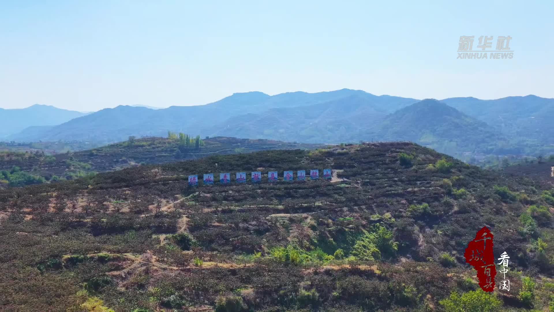 千城百县看中国丨山东潍坊：山楂缀枝漫山红