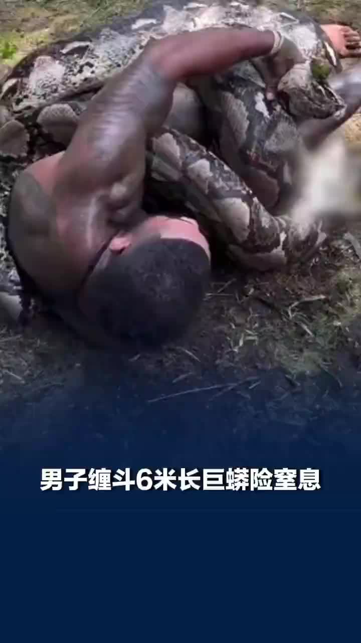 美网红徒手缠斗6米巨蟒险窒息