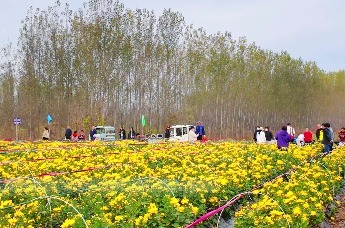 河北三河：以花为媒 以旅兴农 助力乡村振兴