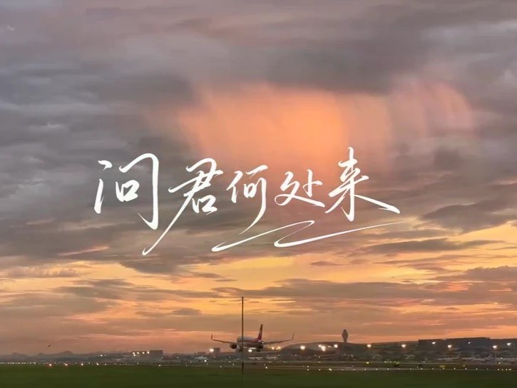 “我们要的是中国文化，不是中国元素。”她第一次发现，自己好像并没有真正读懂“中国”。直到奶奶的一封信，把她重新带回苏州，带回苏博，也带回十五年前那堂没有上完的课……苏博本馆20周年微电影——问君