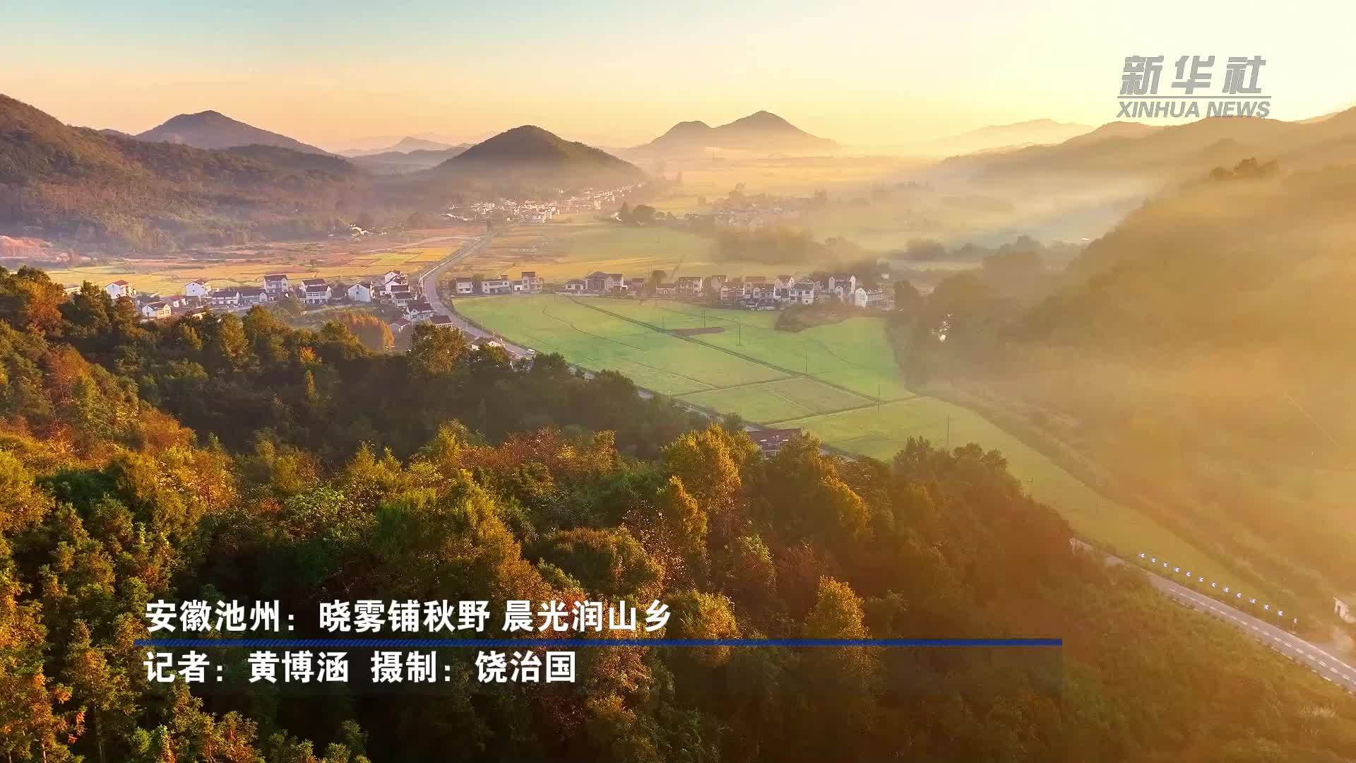 安徽池州：晓雾铺秋野 晨光润山乡