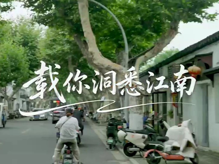 为了让阿姨喜欢上苏州，大志想出了一个绝妙的主意……他们骑上小电驴、逛白塔东路、看苏博。一天逛下来，房子还没定，那个一路讲苏州的年轻人，却先想家了……苏博本馆20周年微电影——载你洞悉江南（来