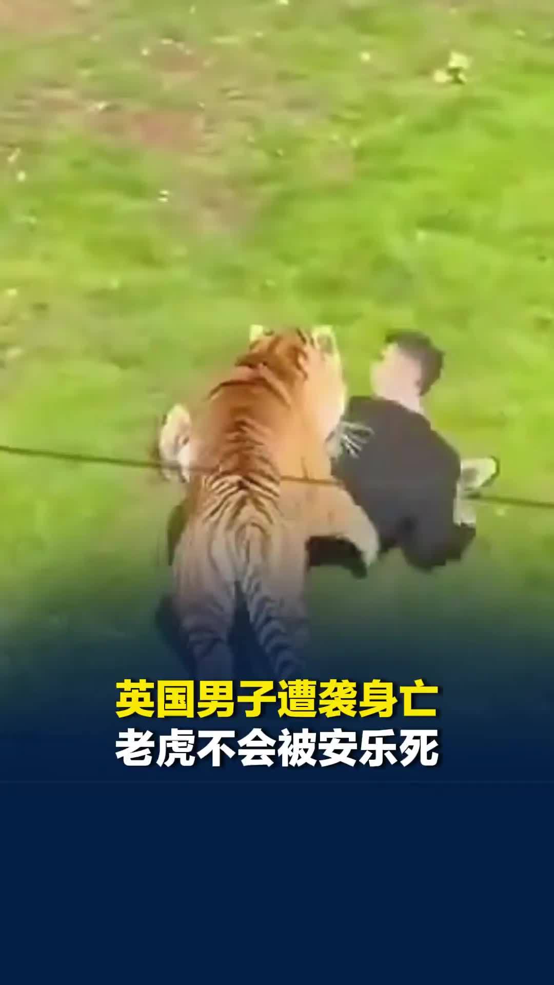 英国男子遭袭身亡老虎不会被安乐死，园方：老虎一开始可能只是在玩耍