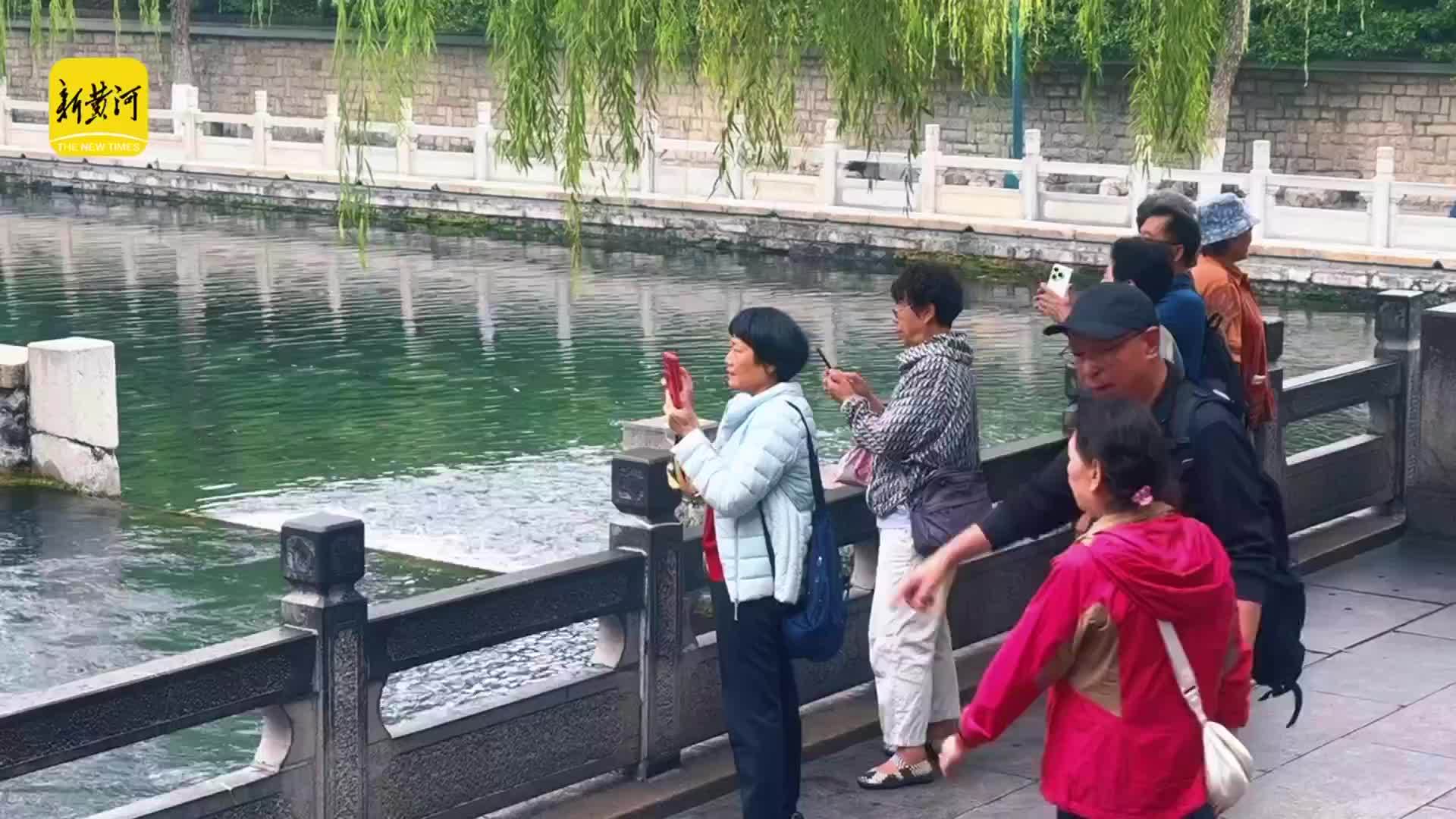 冷空气送秋意，泉城秋景醉游人