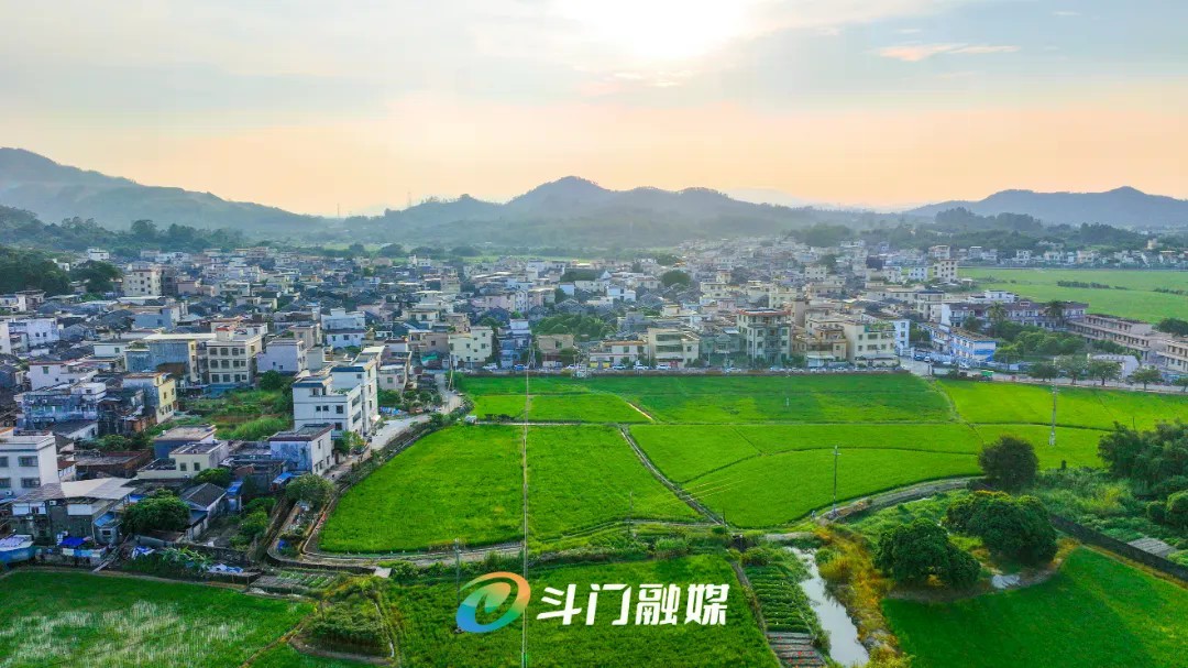 做强特色产业、抓好环境整治 斗门区委书记刘宏深入镇村调研督导