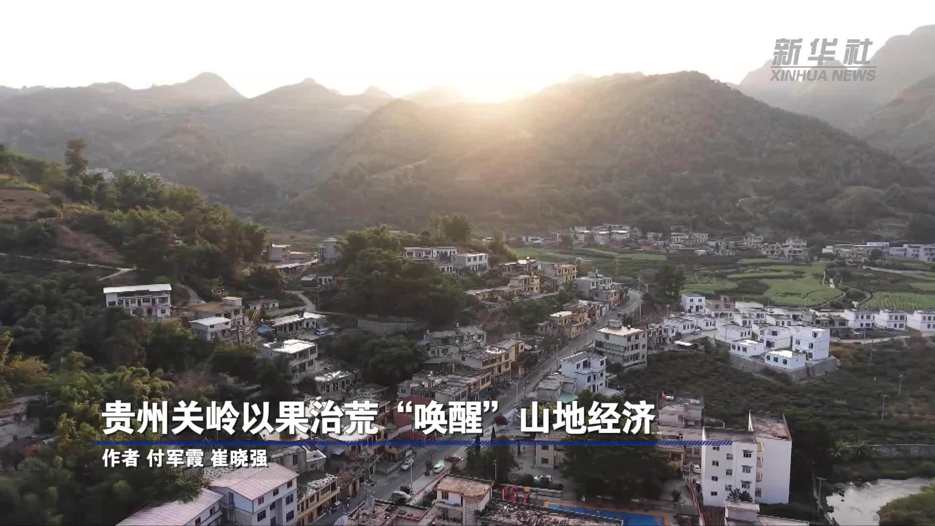 贵州关岭以果治荒“唤醒”山地经济
