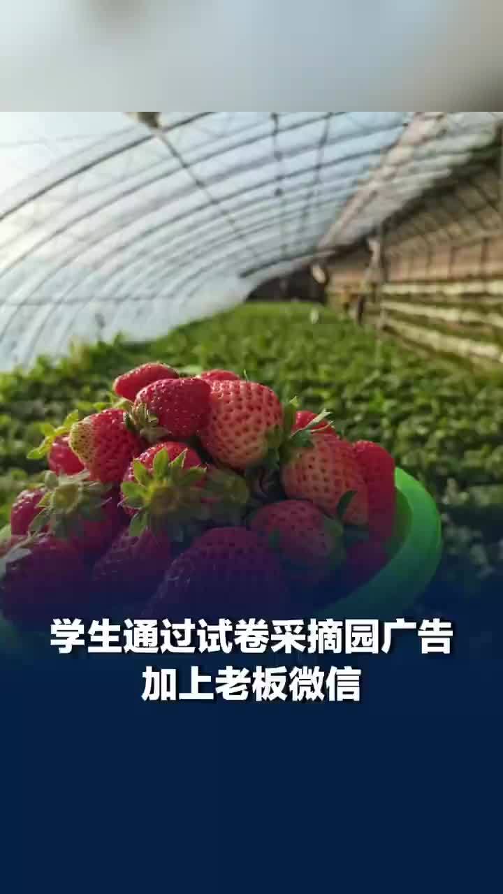 学生6年后与英语试卷上的园主相聚，园主回应通过英语题与学生成为朋友