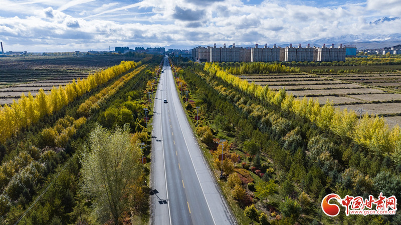 民乐县科学搭配乔灌花草，打造多层次立体化城市道路绿廊。