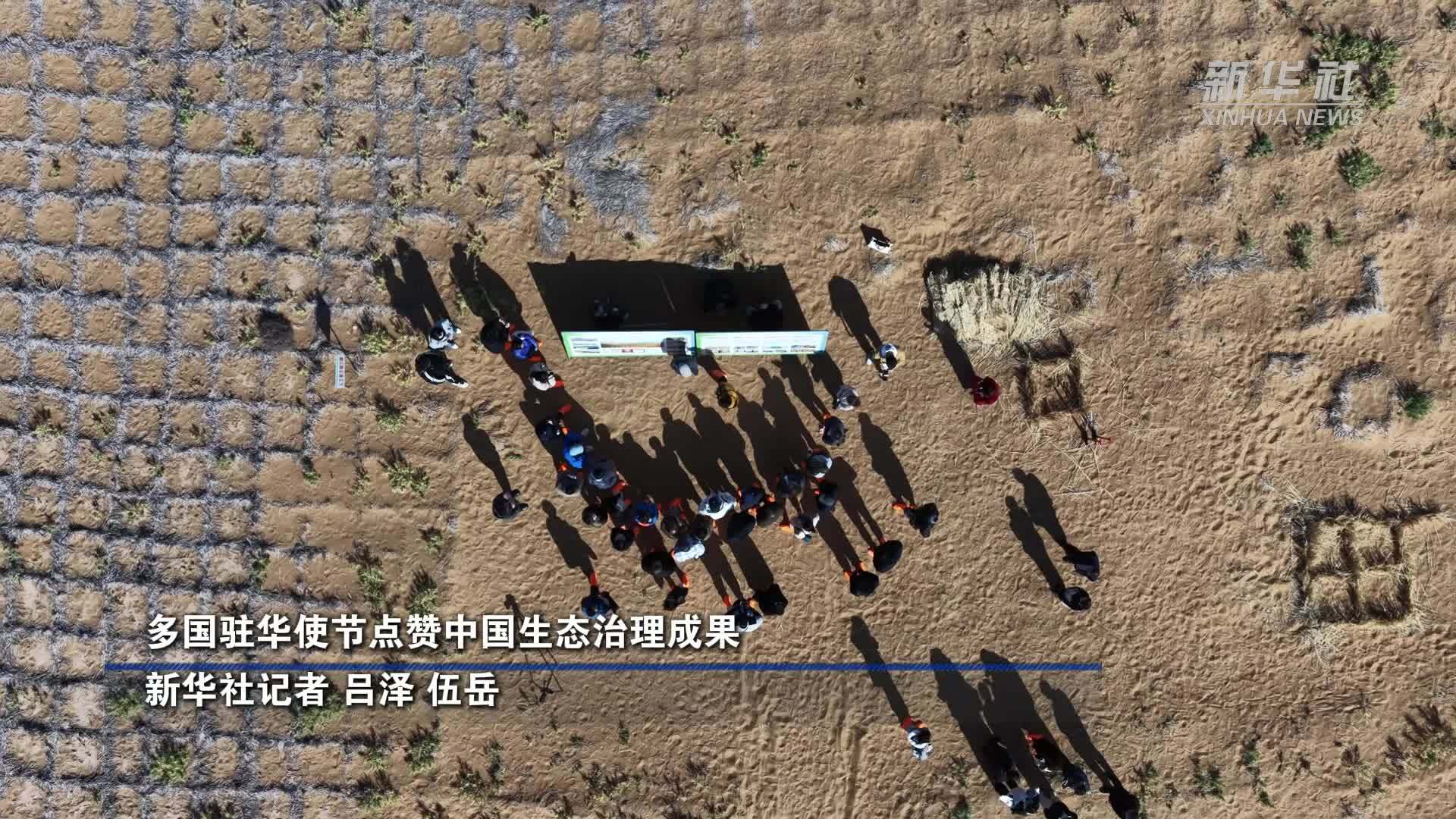 多国驻华使节点赞中国生态治理成果