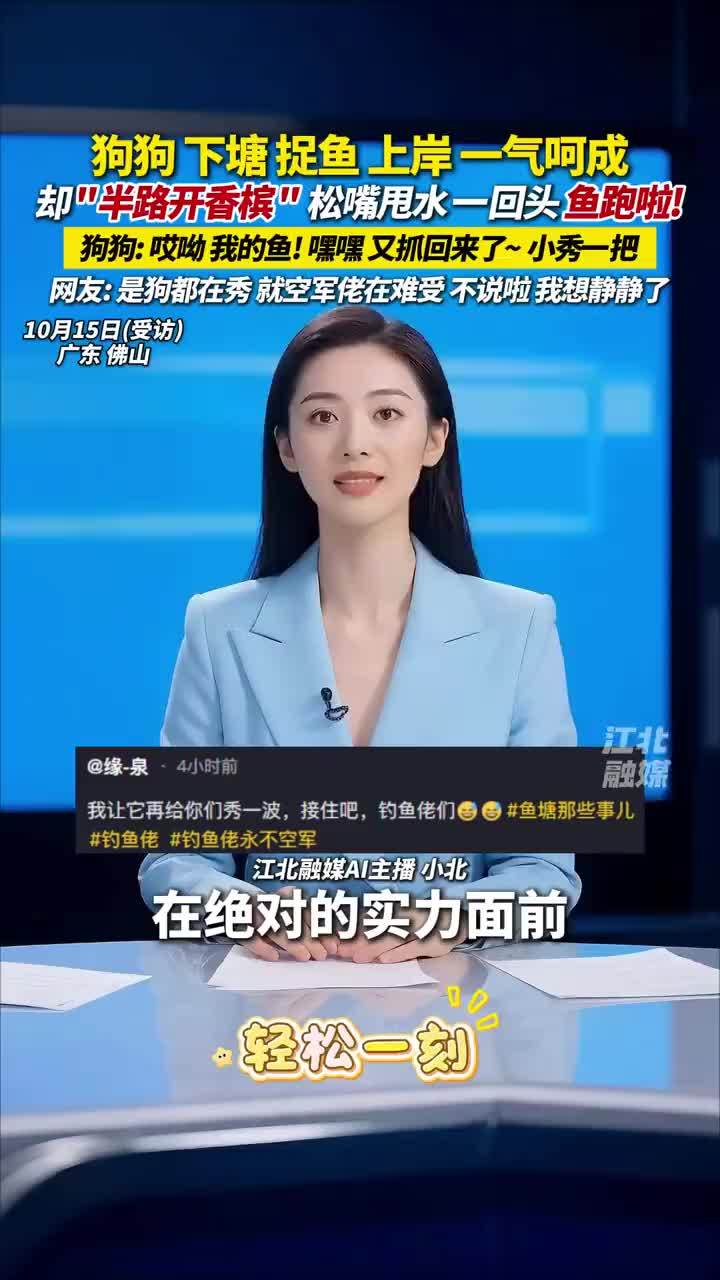 狗狗下塘抓鱼上岸一气呵成
