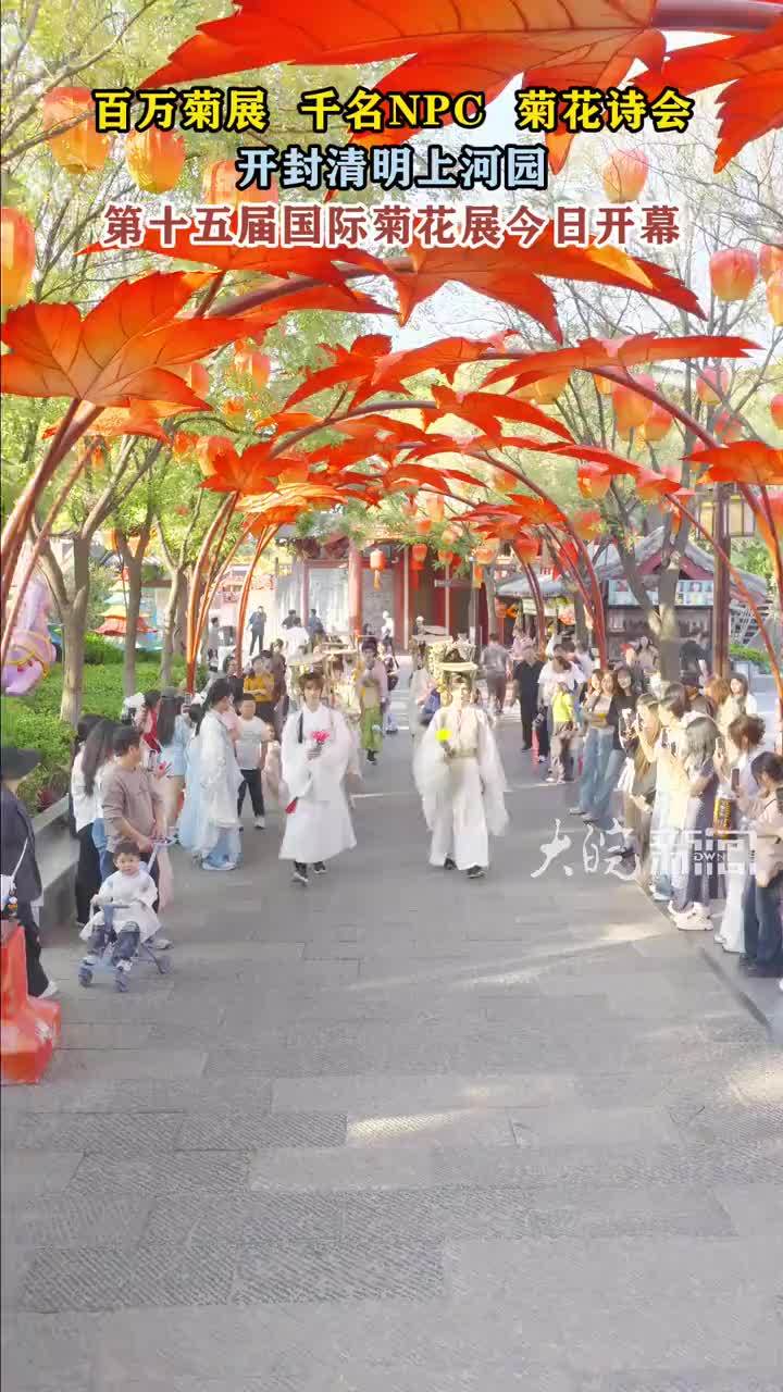 开封清明上河园第十五届国际菊花展今日开幕 百万菊展 千名NPC 菊花诗会#开封 #清明上河园 #菊花 #文旅 #NPC