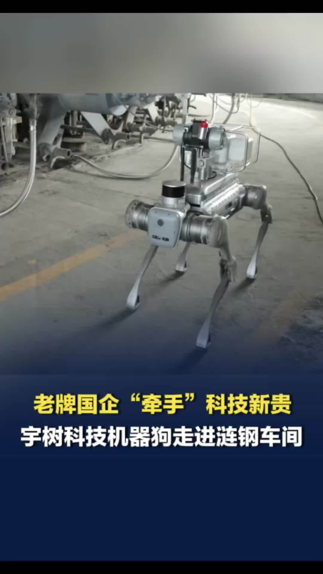 宇树科技机器狗走进涟钢车间替人干高危活儿，老牌国企携手科技新贵解锁新玩法