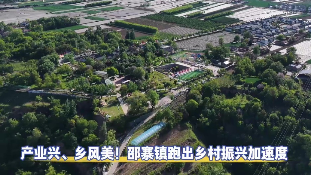 产业兴乡风美　甘肃灵台跑出乡村振兴加速度