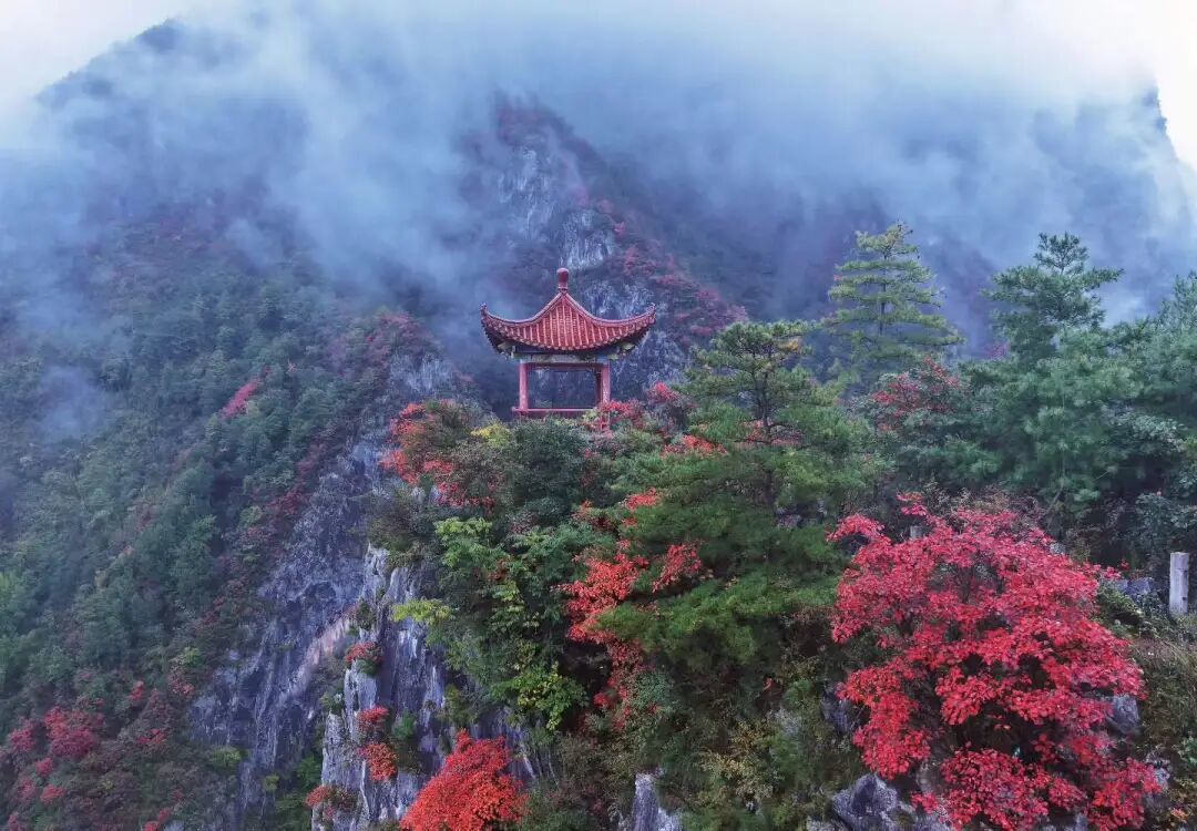 黄培军　摄