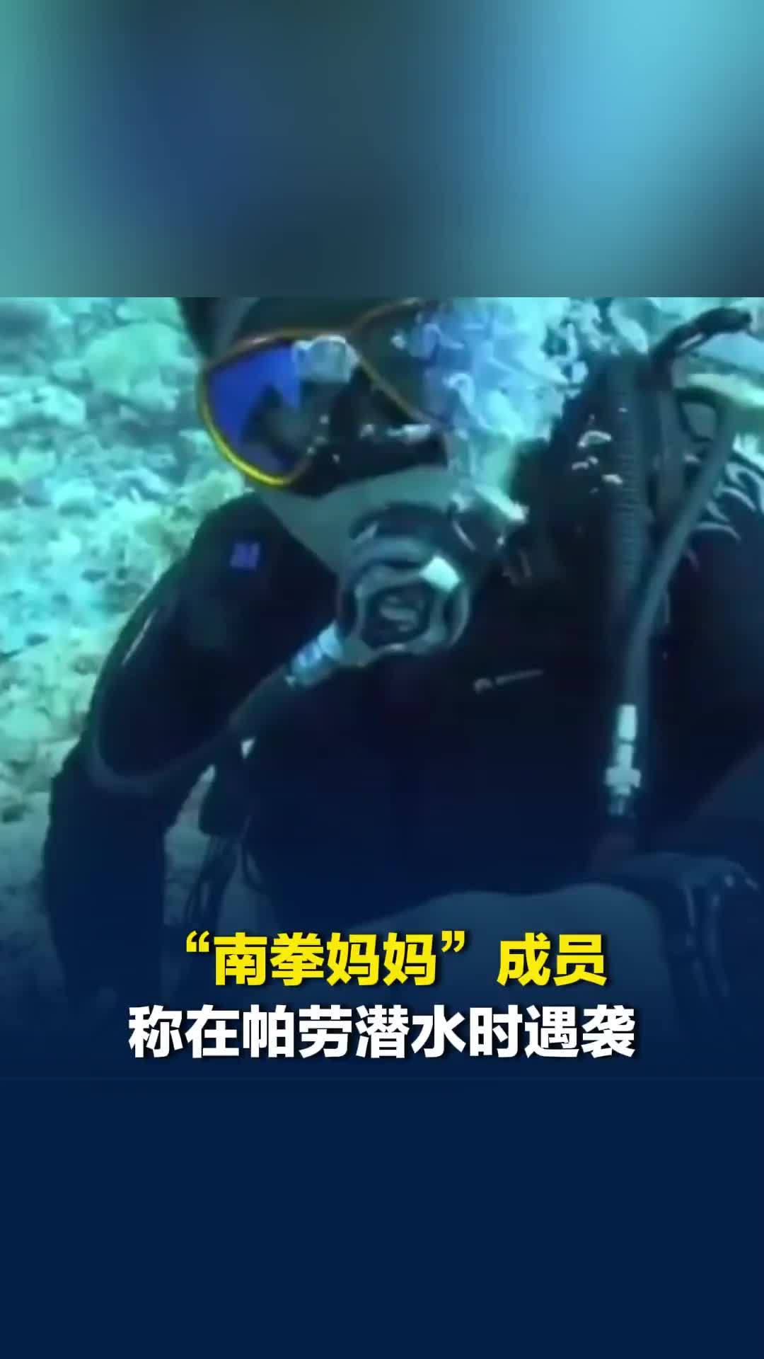 “南拳妈妈”成员称在帕劳潜水时遇袭，同行潜导被扯下面镜，多方回应