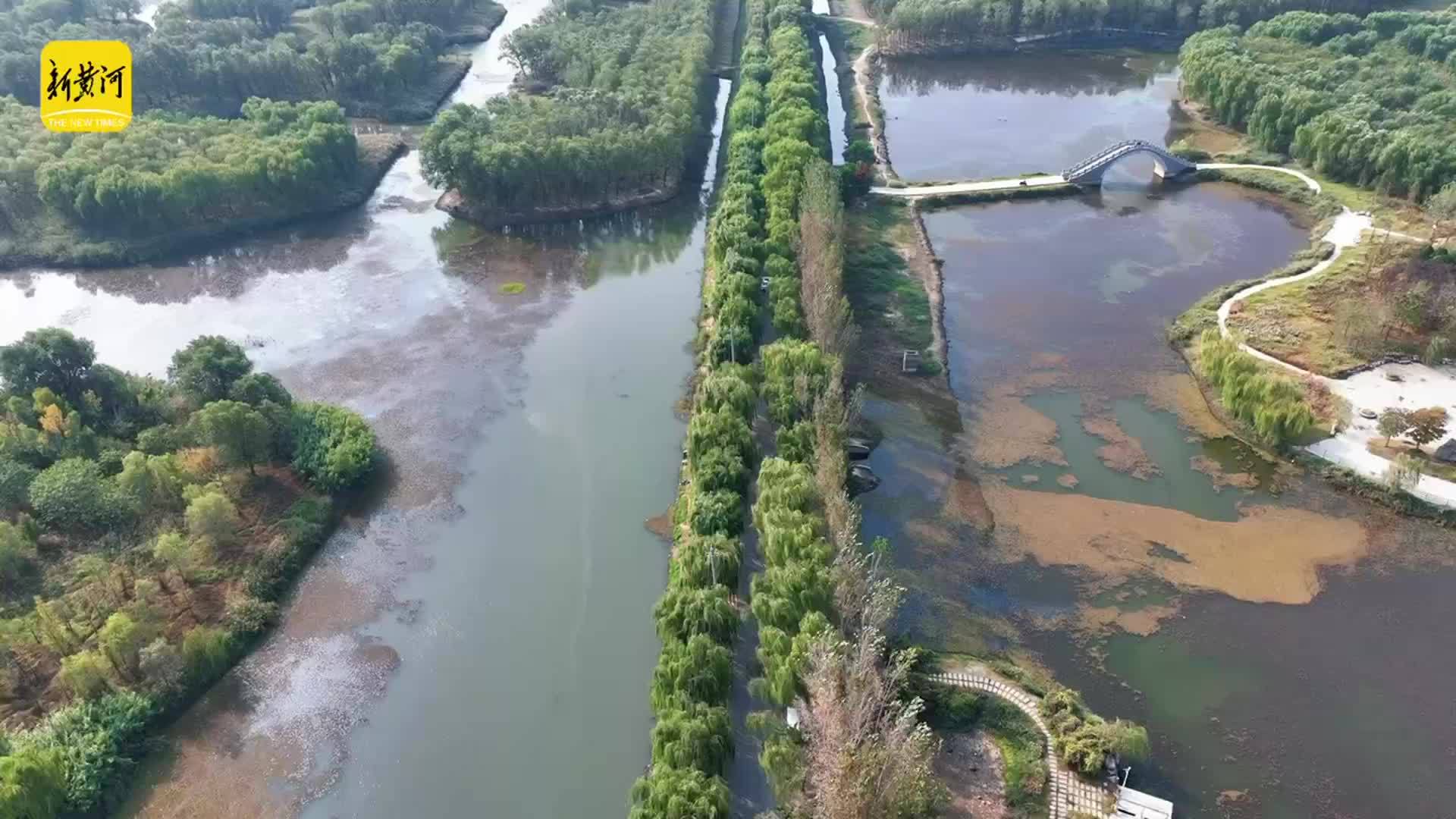 赏秋好去处，济南小清河源头湿地公园美景上线