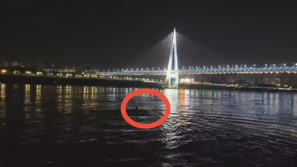 ▲蔡张奋力游向深水区。视频截图