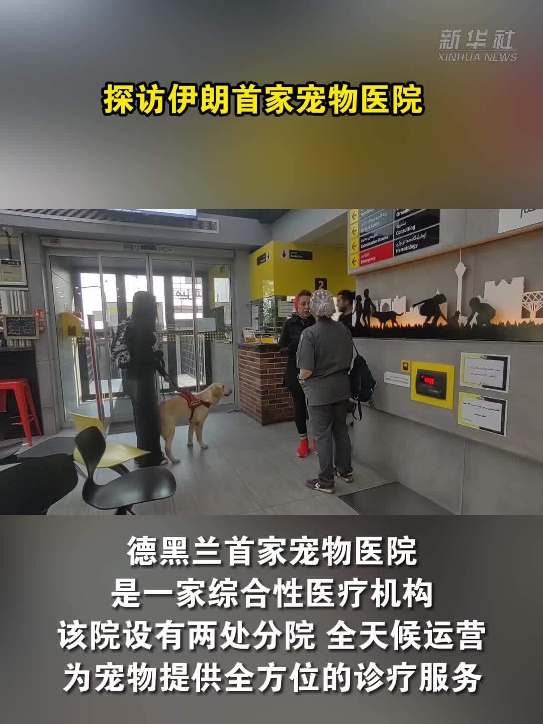 探访伊朗首家宠物医院