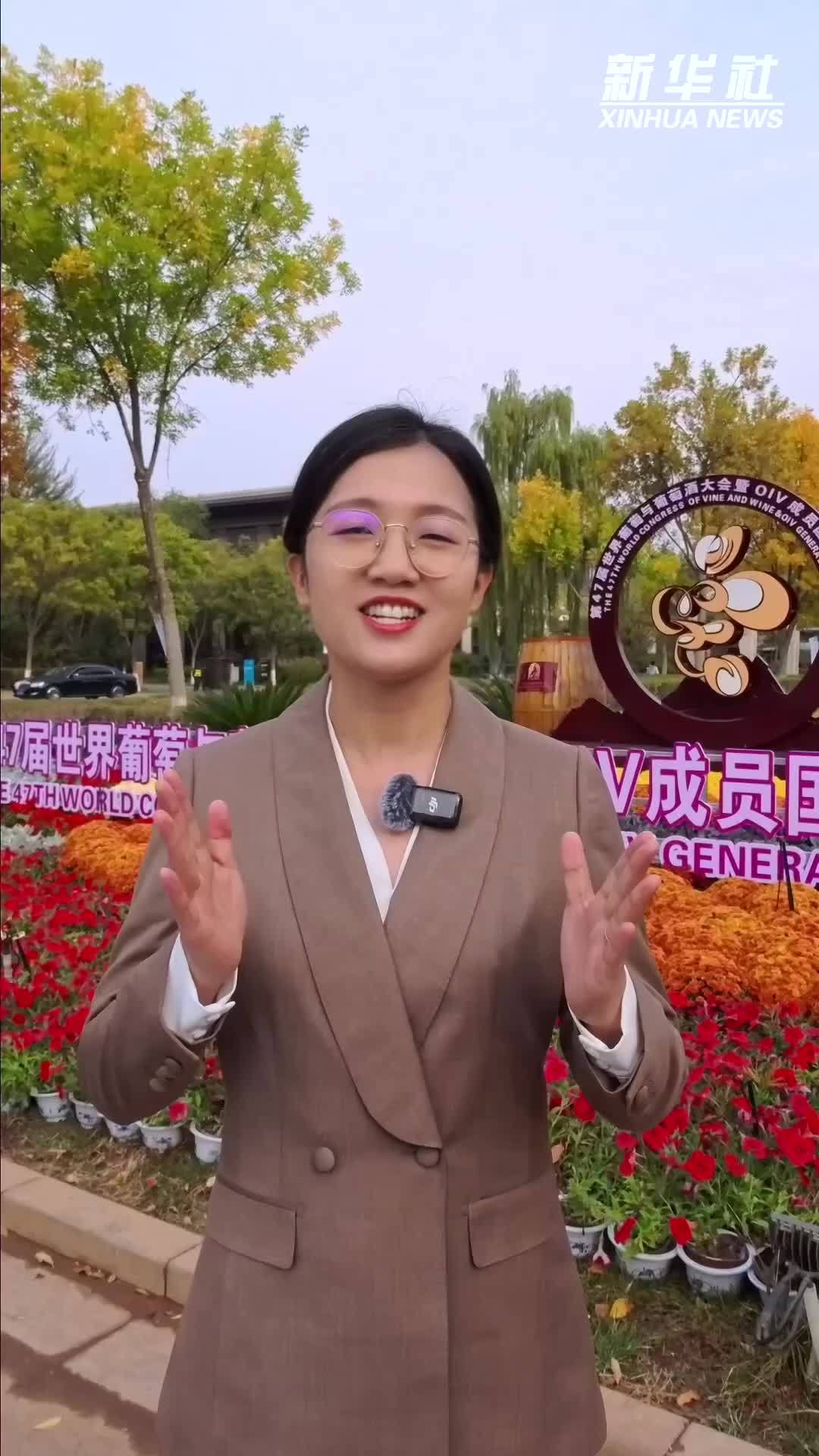 世界葡萄酒“顶流盛会”，为何落地宁夏？