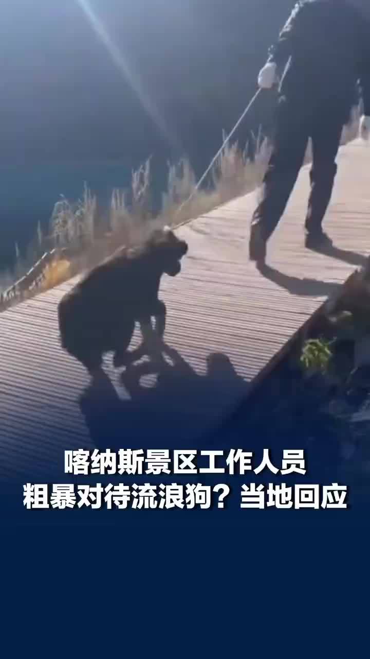 景区工作人员被指粗暴对待流浪狗，当地回应景区员工粗暴对待流浪狗：它追逐游客，已放归原地，批评教育涉事人员