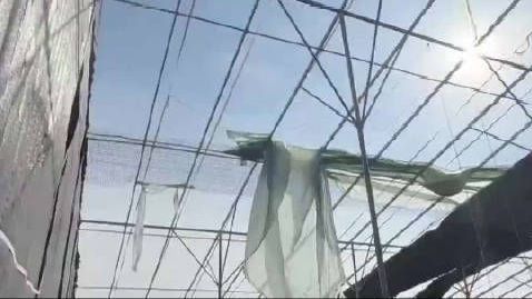 空壳公司成立9天承接亿元项目地方通报1.2亿元项目仅建5个棚 央视曝
