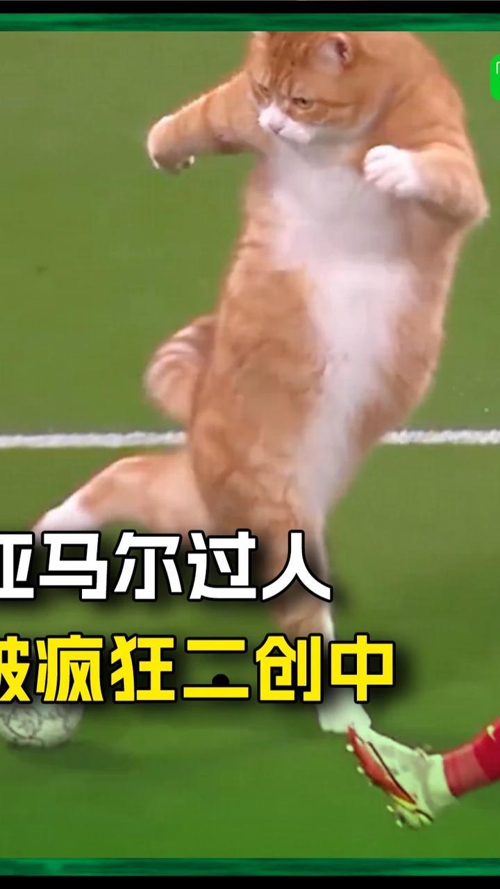 亚马尔在欧冠上的过人助攻，正在被网友们疯狂二创中🤯#亚马尔 #欧冠 #足球