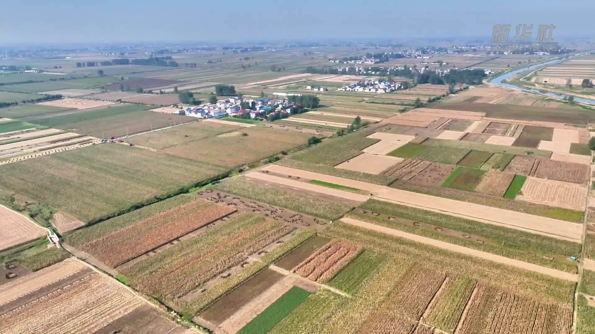 金秋看“丰”景｜江淮大地秋收忙