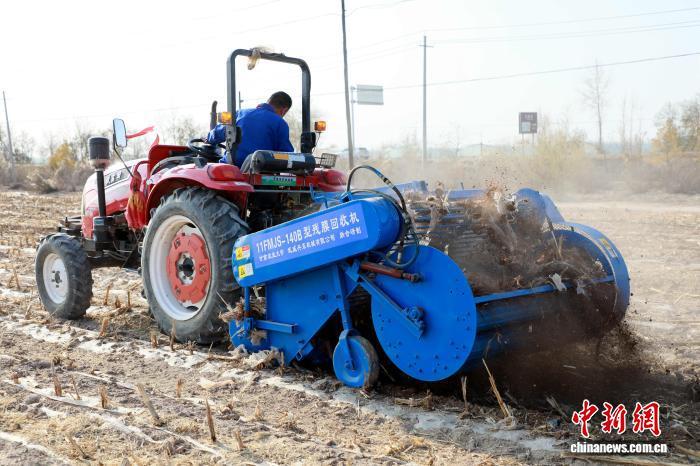 金秋时节,甘肃省武威市民勤县重兴镇东风村高标准农田示范基地,搭载残膜回收设备的拖拉机在田间作业。马爱彬 摄