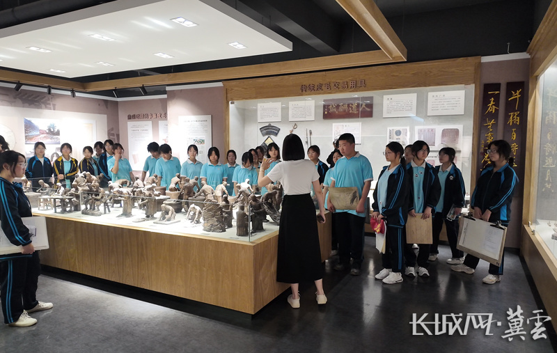 学生参观了解辛集皮毛文化历史。长城网&middot;冀云客户端记者 富心迪 摄
