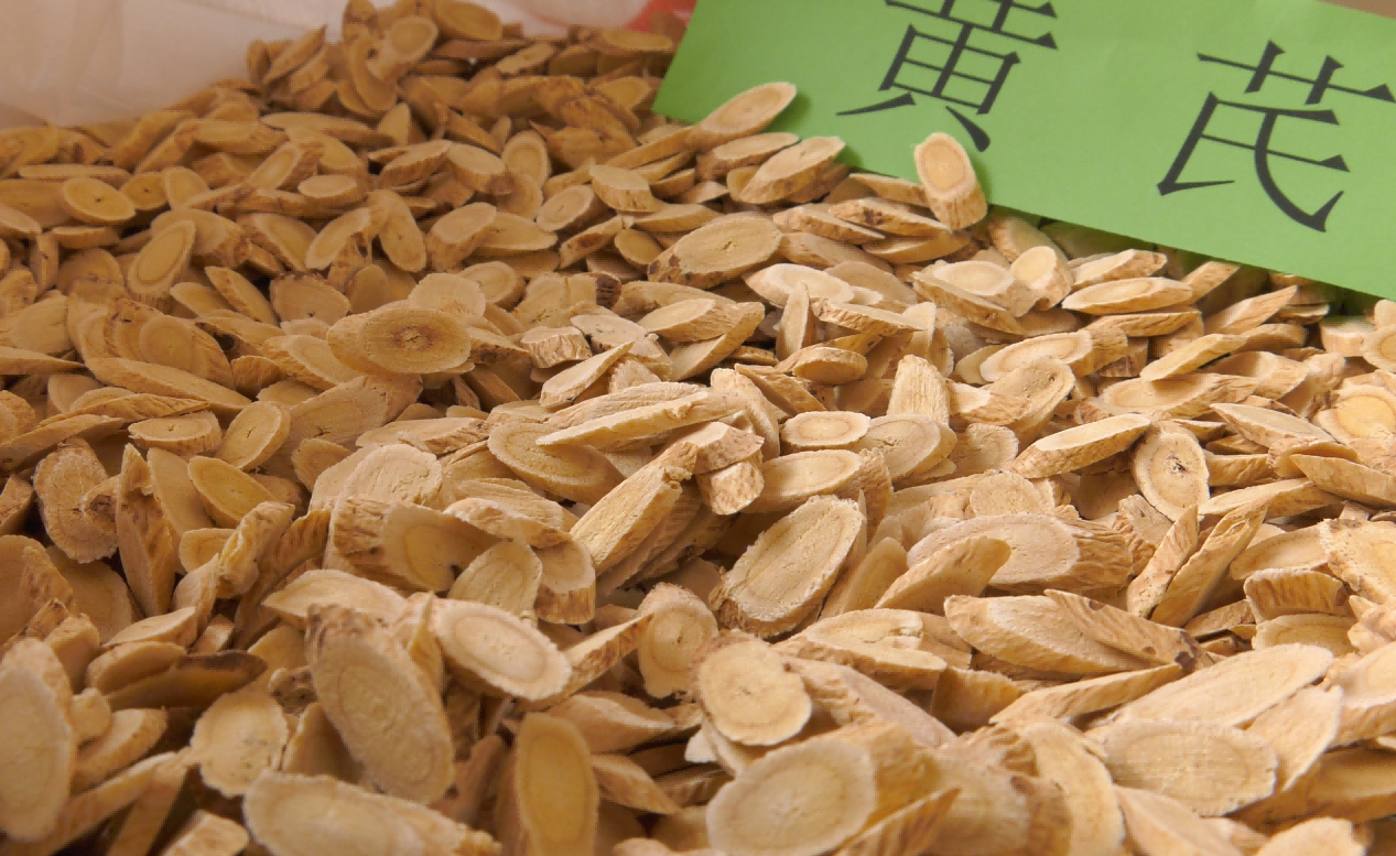 哈达铺黄芪