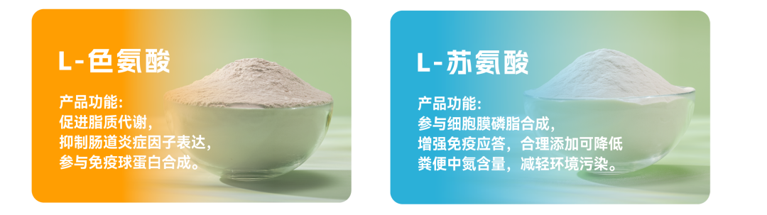 80b5174c-2ecd-4f44-94e5-a1b65cb4dca8.png