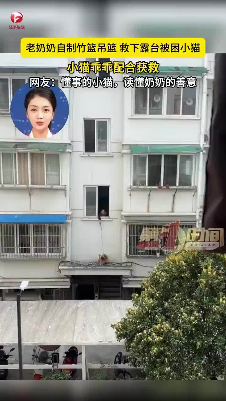 奶奶自制竹吊篮救下露台被困小猫