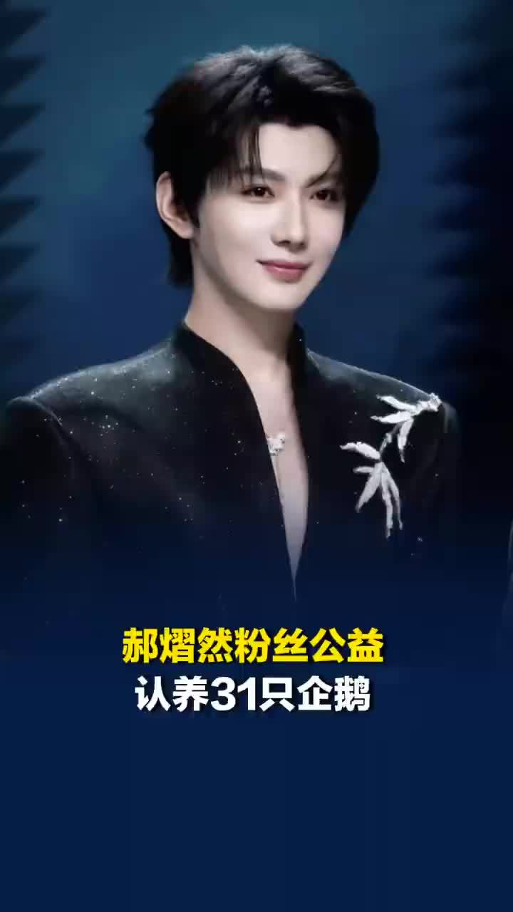 郝熠然粉丝与公益同行，郝熠然粉丝公益认养31只企鹅