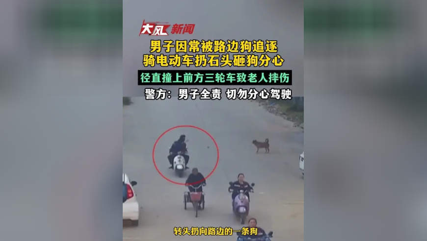 因常被路边狗追逐，男子骑电动车扔石头砸狗，不慎撞伤前方老人，警方：男子全责 切勿分心驾驶