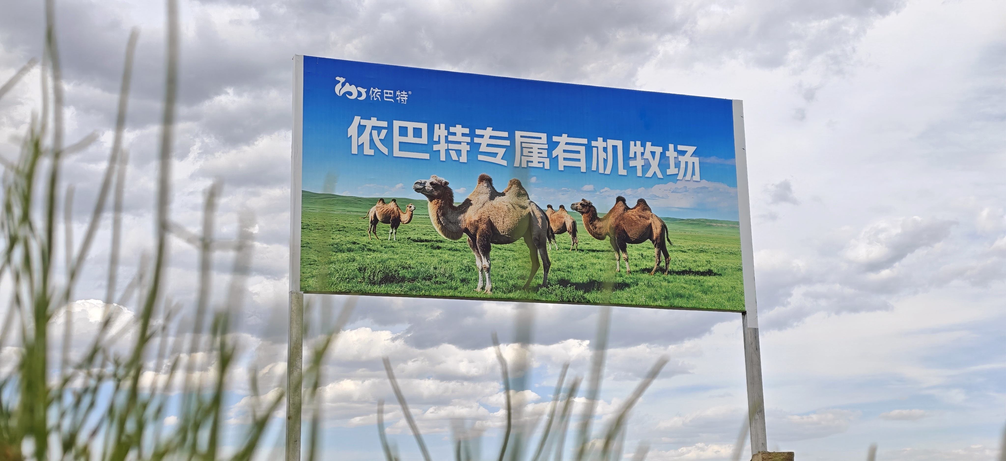 公司图片