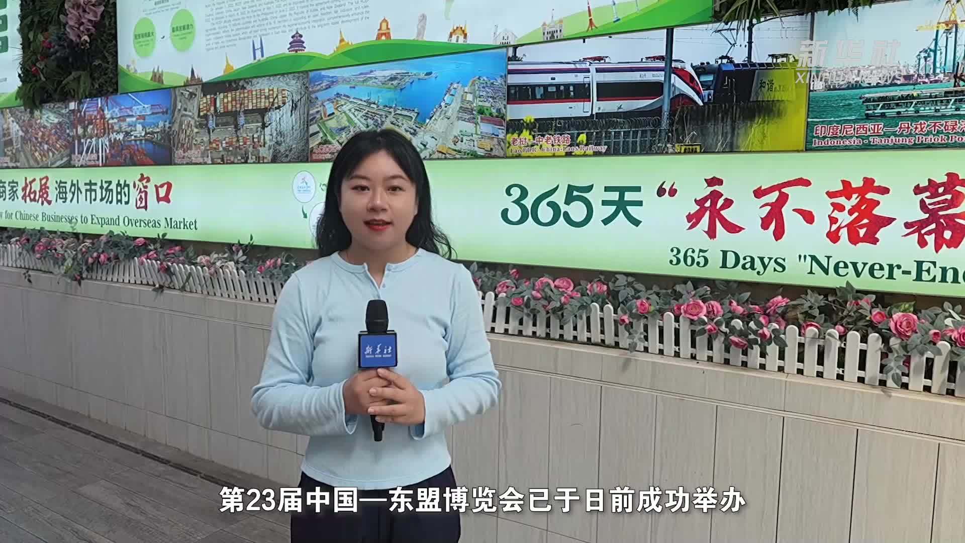 活力中国调研行｜在南宁，打造“永不落幕”的东博会
