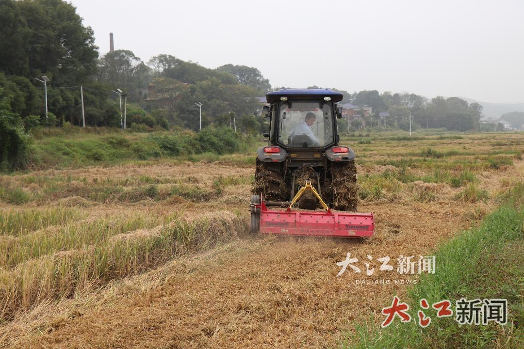从“一把火”到“一条链”！萍乡湘东秸秆综合利用率达95.76%