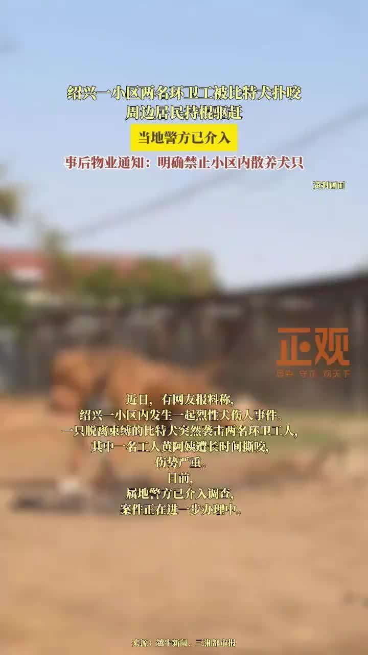 两环卫工被比特犬扑咬警方已介入