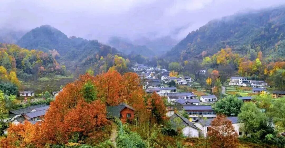 张向东　摄