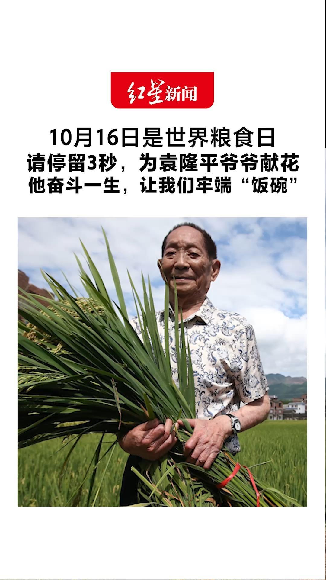 好好吃饭就是对他最好的怀念！10月16日是世界粮食日 请停留3秒，为袁隆平爷爷献花 他奋斗一生，让我们牢端“饭碗”