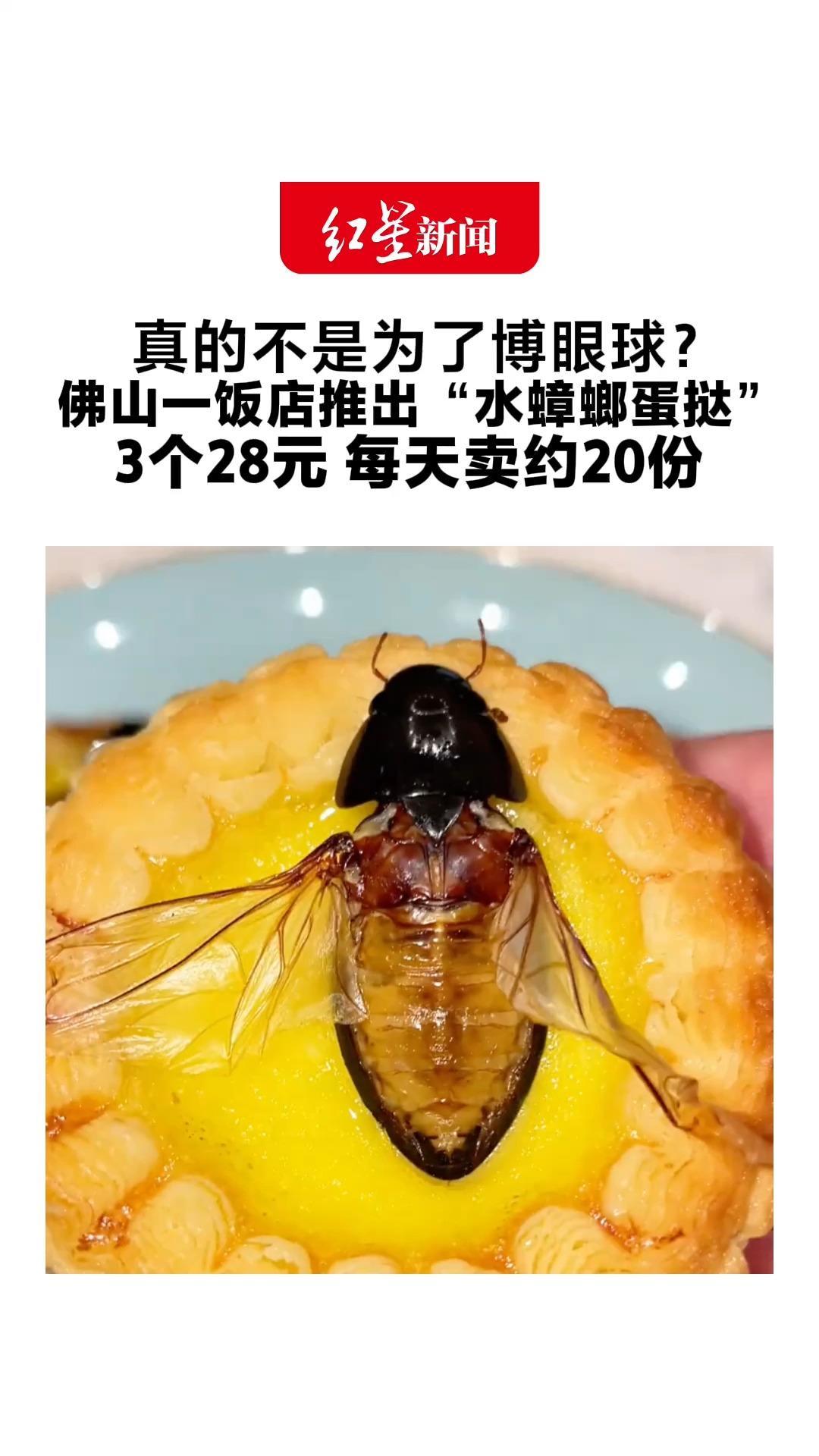真的不是为了博眼球？ 佛山一饭店推出“水蟑螂蛋挞” 3个28元、每天卖约20份 有人跨城尝鲜、有人直呼恶心