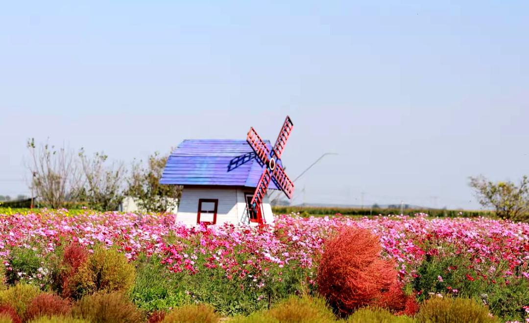 © | 心想事陈