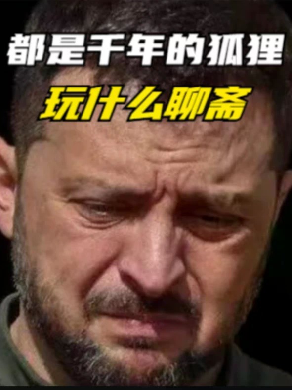 都是千年的狐狸，玩什么聊斋