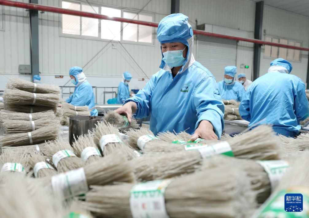 秦皇岛卢龙：小甘薯 大产业
