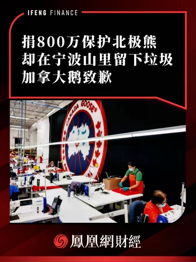 捐800万保护北极熊却在宁波山里留下垃圾，加拿大鹅致歉