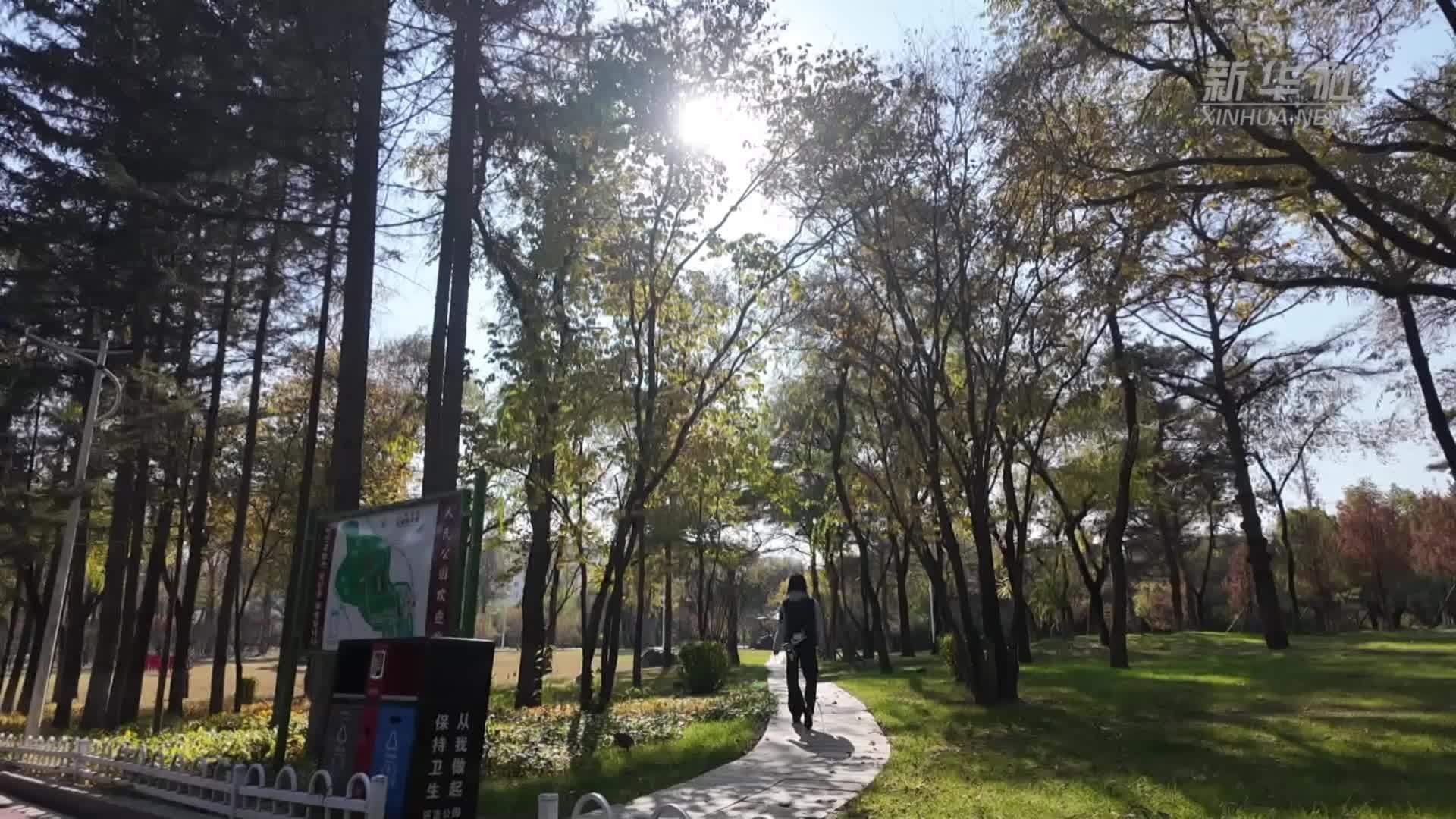 吉林延吉：人民公园迎来秋日盛景